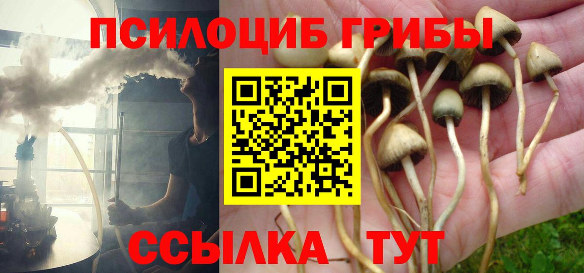 Рязань  Галлюциногенные грибы Cubensis  наркошоп  Галлюциногенные грибы ЛСД  Вход с VPN 