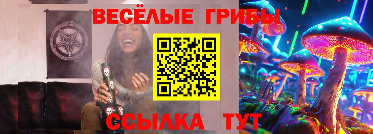 Галлюциногенные грибы Psilocybine cubensis Рязань